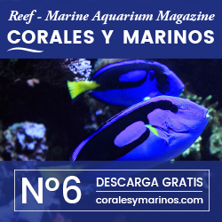 Corales Y Marinos