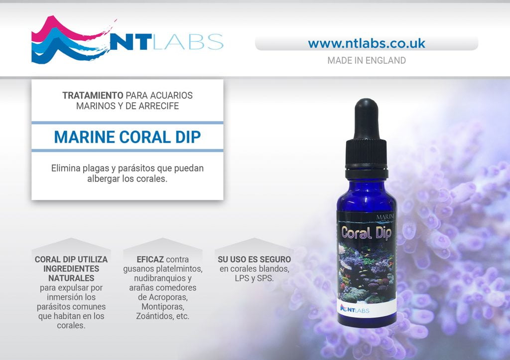 MARINE CORAL DIP