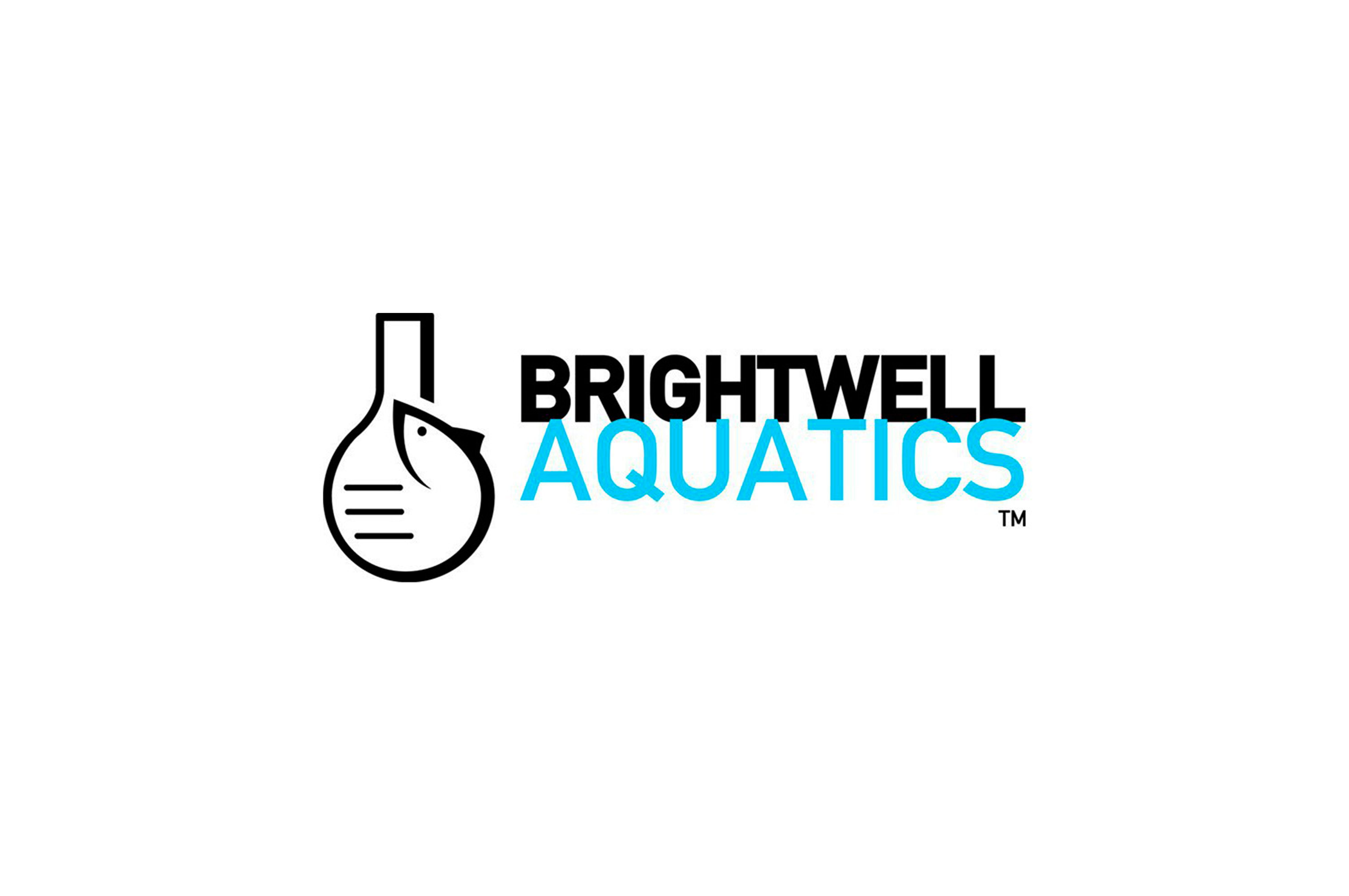 Brightwell Cabecera