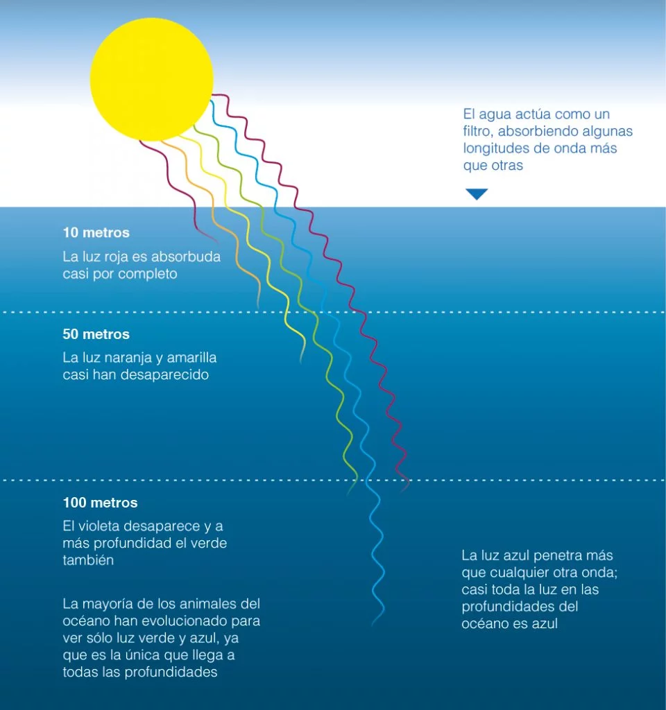 espectro de color iluminación de acuarios marinos