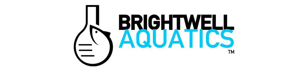 Brightwell Cabecera
